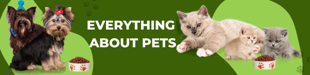 Everything About Pets