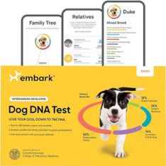Embark Breed Identification Kit Most Accurate Dog DNA Test